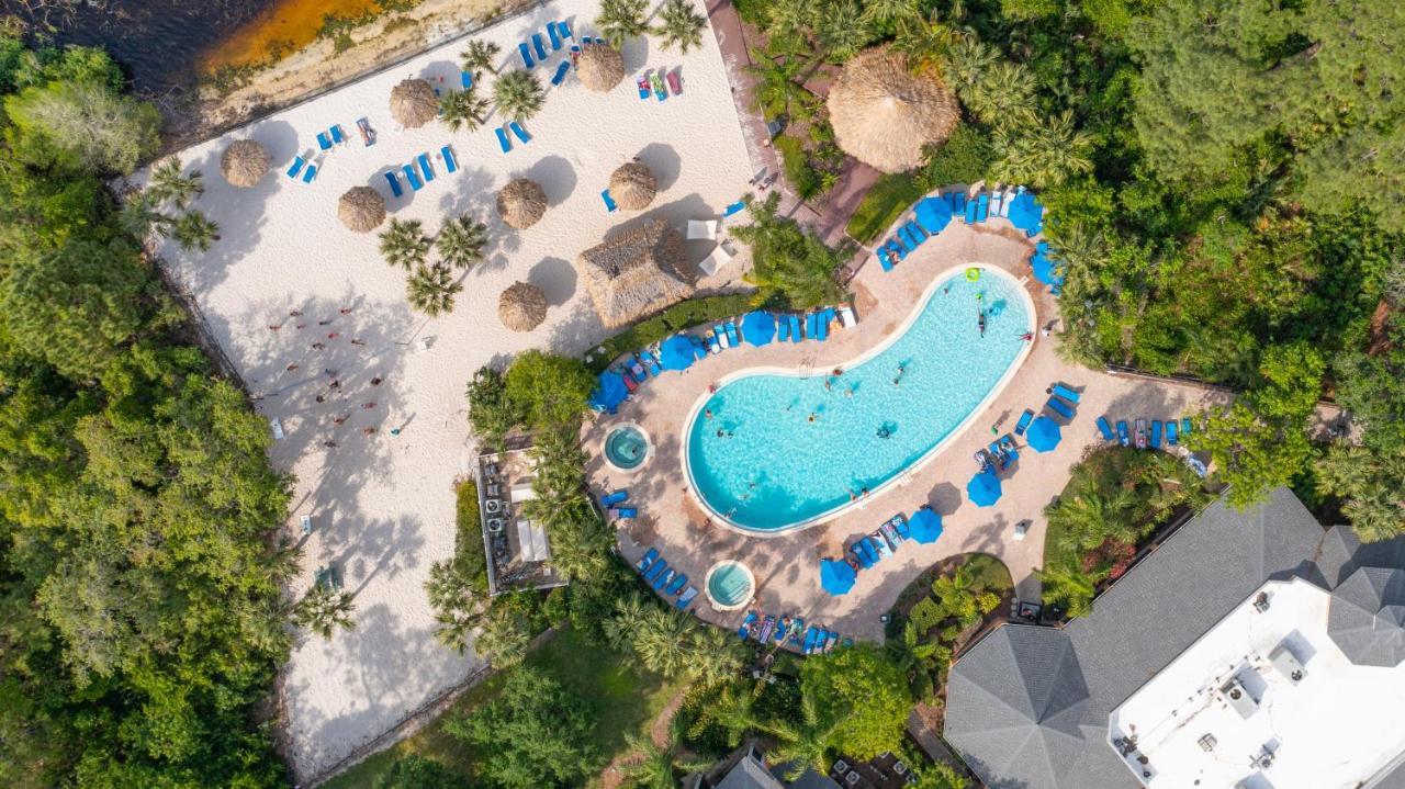 Cristina'S Tropical Villa/ Just Minutes From Disney! Kissimmee Zewnętrze zdjęcie